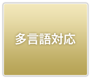 多言語対応